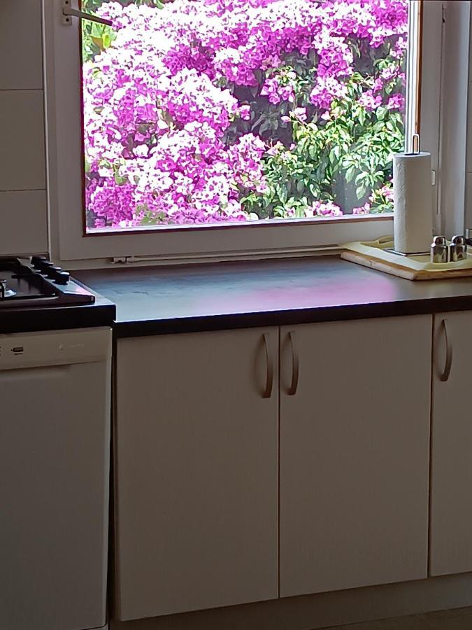 Apartments Sirius 科尔丘拉 外观 照片